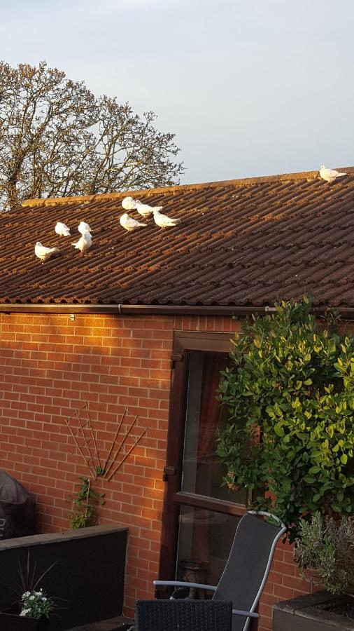 The White Dove Bed And Breakfast With Glamping Newark Showground Exterior foto